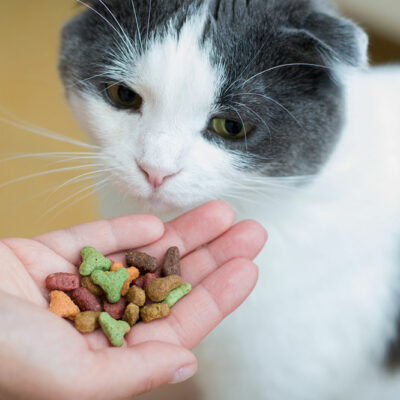 7 Healthy Make at Home Cat Treats