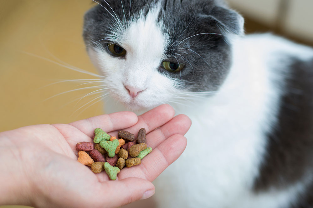 7 Healthy Make at Home Cat Treats