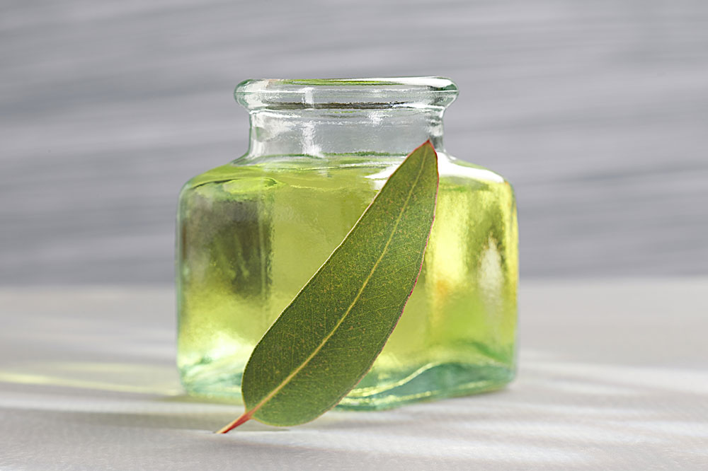 6 Effective Pet-Friendly Essential Oils